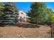 Large backyard with a deck, mature trees and a wooden fence at 1624 Westin Dr, Erie, CO 80516