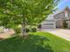 Landscaped front yard with lush green lawn, mature trees and flowerbeds at 2198 Broadleaf Loop, Castle Rock, CO 80109