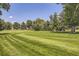 Expansive grassy backyard with mature trees, offering a serene outdoor space at 3124 S Wheeling Way # 102, Aurora, CO 80014