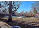 Large backyard with mature trees and a wooden fence at 725 S Harrison St, Denver, CO 80209