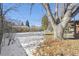 Large backyard with mature trees and a partially snow-covered lawn at 725 S Harrison St, Denver, CO 80209