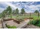 Raised garden beds with various plants at 4812 Moonshine Ridge Trl, Parker, CO 80134