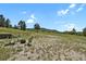 Lush backyard features a firepit with seating, surrounded by beautiful trees and landscaping at 5800 Elk View Ct, Larkspur, CO 80118