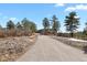Long private driveway leading to a secluded home surrounded by mature trees at 5800 Elk View Ct, Larkspur, CO 80118