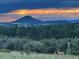 A beautiful sunset over the forest landscape, a windmill and some mule deer add to the scene at 5800 Elk View Ct, Larkspur, CO 80118