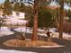 Two mule deer bucks in the circular driveway of the home on a snowy winter day at 5800 Elk View Ct, Larkspur, CO 80118