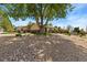 Spacious front yard featuring mature shade tree and low maintenance rock ground cover at 9598 Lowell Blvd, Westminster, CO 80031