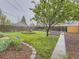 Picturesque backyard featuring lush lawn, established tree, mulched flower beds, and wood fence at 5703 Ammons St, Arvada, CO 80002