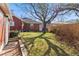 Lush backyard featuring a mature tree, manicured lawn, and brick-lined walkway at 1273 S Jackson St, Denver, CO 80210