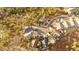 Stunning aerial view of the property nestled in a cul-de-sac surrounded by mature trees at 7649 Pineridge Ter, Castle Pines, CO 80108