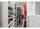 Organized walk-in closet with ample shelving and storage for clothes and shoes at 14096 Red Cosmos St, Parker, CO 80134