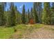 Open lot with a rustic shed and room for outdoor activities surrounded by towering evergreens at 5724 Highway 9, Breckenridge, CO 80424