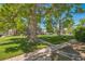 Well-maintained front yard with large shade trees and sidewalk at 2858 Jasmine St, Denver, CO 80207
