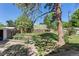 Green backyard with a concrete patio, fire pit, a white picket fence, and lush trees at 7801 Valley View St, Louviers, CO 80131