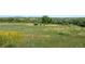 Expansive land with tall grass and scattered trees at 7801 Valley View St, Louviers, CO 80131