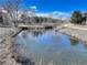 Scenic community pond with ducks, walking path, and nearby landscaping at 6068 W Utah Ln, Lakewood, CO 80232