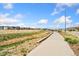 Sidewalk and green space showing a glimpse of the surrounding homes at 15957 E Elk Pl, Denver, CO 80239