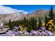 Stunning mountain scenery with vibrant wildflowers in the foreground, showcasing nature's beauty at 2115 Hummingbird Way # 105, Georgetown, CO 80444