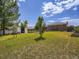 Spacious fenced backyard with a storage shed and mature trees in a sunny setting at 10736 Logan Ct, Northglenn, CO 80233
