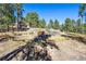 Scenic landscape view of the property with wooded area, the home, and outdoor shed at 24929 N Mountain Park Dr, Evergreen, CO 80439
