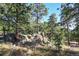 Beautiful rock formation with natural grasses and trees in a serene outdoor setting at 24929 N Mountain Park Dr, Evergreen, CO 80439
