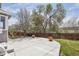 A view of the backyard featuring a concrete patio area and several mature trees at 882 W 96Th Ave, Thornton, CO 80260