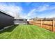 Well-manicured backyard with new grass and privacy fence at 2276 Newland St, Edgewater, CO 80214