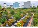 Vibrant community garden with colorful flowers, vegetables, and walking path at 1848 W 68Th Ave, Denver, CO 80221