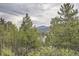 A natural wooded backyard with lots of trees, a road, and the mountain in the background at 30839 Manitoba Dr, Evergreen, CO 80439