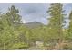 A natural wooded backyard with lots of trees, and the mountain in the background at 30839 Manitoba Dr, Evergreen, CO 80439
