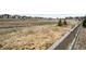 Expansive backyard with natural landscaping and neighborhood views at 2078 S Teller Ct, Lakewood, CO 80227
