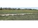 Wide shot of community green space with walking path, grass, and mountain views in the distance at 4899 S Dudley St # 15G, Littleton, CO 80123