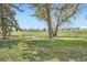 A community park area featuring picnic tables surrounded by trees and well-manicured green grass at 4899 S Dudley St # 15G, Littleton, CO 80123