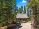 Quaint exterior view of a cabin-style home surrounded by lush greenery, offering a secluded retreat in nature at 91 Slalom Dr, Breckenridge, CO 80424
