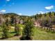 Scenic backyard with mountain views, offering an ideal space for outdoor activities at 34075 Grouse Ln, Evergreen, CO 80439
