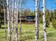 Secluded cabin featuring a multi-level deck, surrounded by aspen trees and lush greenery at 34075 Grouse Ln, Evergreen, CO 80439