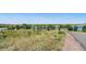 Expansive aerial view of lush parkland with mature trees and lake access along a quiet road at 2648 S Wadsworth Way, Lakewood, CO 80227