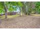 Large, leafy back yard with mature shade trees and privacy fencing, perfect for enjoying outdoor activities at 2648 S Wadsworth Way, Lakewood, CO 80227