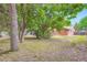 Spacious back yard with mature trees, offering shade and privacy for outdoor activities and relaxation at 2648 S Wadsworth Way, Lakewood, CO 80227