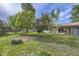 Lush backyard with mature trees, green grass, and a glimpse of the house and covered patio at 11310 W 46Th Ave, Wheat Ridge, CO 80033