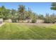 Spacious backyard features a lush lawn, mature trees, and a privacy fence, perfect for outdoor enjoyment at 9605 E Kansas Cir # 53, Denver, CO 80247