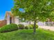 Beautiful home with manicured lawn, lush landscaping, and a tree in the front yard at 448 Bonanza Dr, Erie, CO 80516