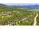 Aerial view showcasing the community's lush green forest with mountainous views at 1279 Estates Dr, Breckenridge, CO 80424