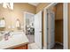 Bathroom with vanity, walk-in closet access, and bedroom views at 4378 Fell Mist Way, Castle Rock, CO 80109