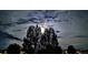 Moonlight streams through the trees creating a mesmerizing night scene in this tranquil neighborhood at 4378 Fell Mist Way, Castle Rock, CO 80109