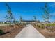 A beautiful walking path with trees lines the way to a picnic shelter in this residential community at 869 Sawdust Dr, Brighton, CO 80601