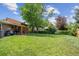 Expansive backyard featuring a manicured lawn, mature trees, and a covered patio at 3625 E 128Th Pl, Thornton, CO 80241
