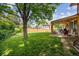 Lush backyard with mature tree, a spacious grassy area, and covered patio at 3625 E 128Th Pl, Thornton, CO 80241