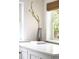 Window nook with white countertops, greenery, and natural light at 539 Baker St, Longmont, CO 80501