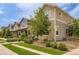 Street view of well-manicured home exteriors featuring landscaped front yards and concrete sidewalks at 1137 Hummingbird Cir, Longmont, CO 80501